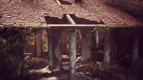 Ruins of an Old European Mansion Overgrown with Vines in Serene Surroundings