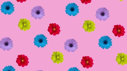 Vibrant Floral Pattern on Pink Background Seamless Loop