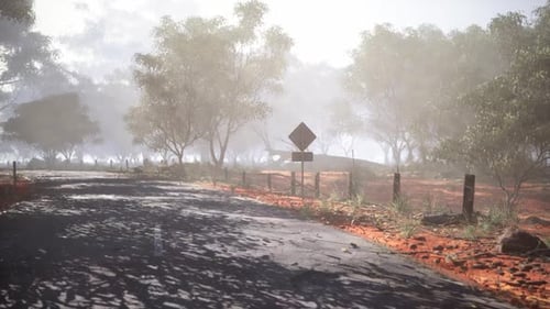 Misty Rural Road with Trees and a Warning Sign in a Quiet Landscape