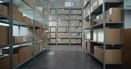 Installation de tri : stockage de la boutique en ligne avec commandes de commerce électronique dans des boîtes en carton