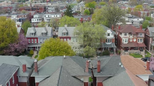 Aerial dolly forward features rows of homes in urban city setting in USA. Spring trees bloom. Low ro