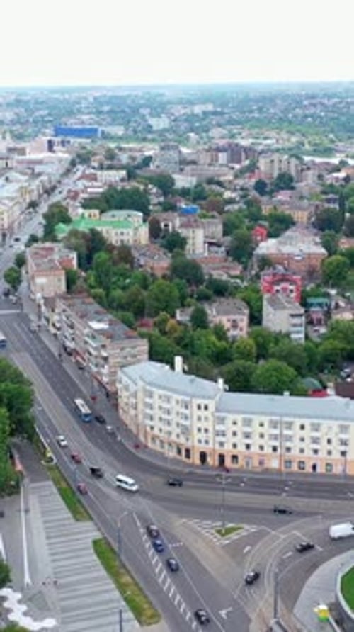 Aerial view of park alley. Vertical video