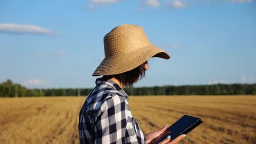 Female Farmer Uses Digital Tablet While Going Through Wheat Meadow Adult Agronomist in Straw Hat