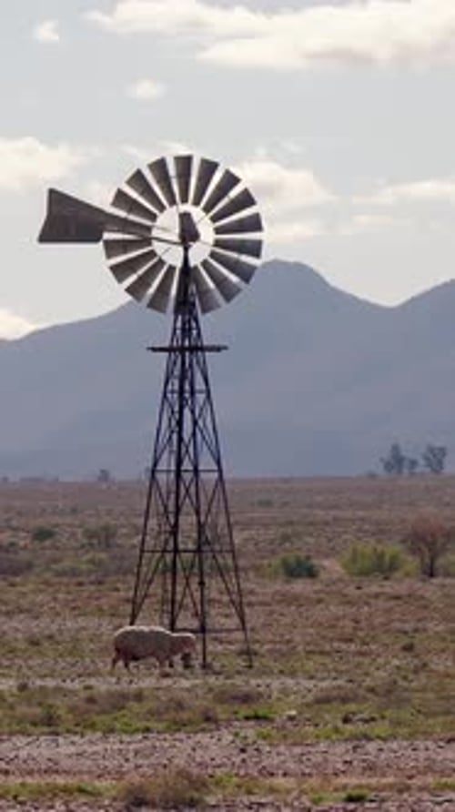 Vertical Shot of Arid Outback Farm with Windmill, Sheep - Flinders Ranges, Australia