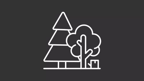 Minimalist Animated Line Art Forest Trees Icon