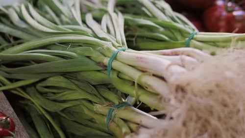 Green Onions on Market Bunch of Young Spring Onions Healthy Fresh Food Background