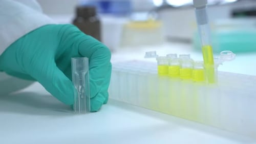 Close Up Chemist Fills the Cuvette with Automatic Pipette for Spectrophotometric Analysis