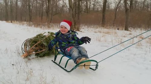 Un garçon fait du traîneau à travers une forêt enneigée, traînant un sapin de Noël derrière lui