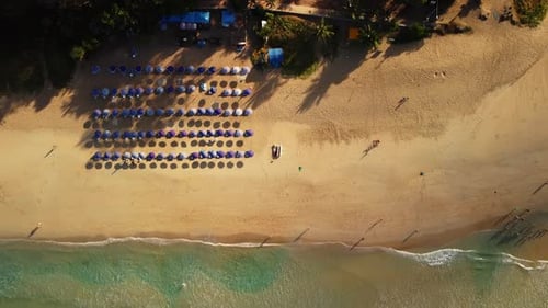 Lounge Zone for Sunbathing with Sunshades on Sand Beach in Front of Sea Filmed From Above