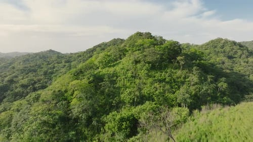 Experience an Aerial View of Lush Green Forests in Costa Rica A Stunning Nature Journey