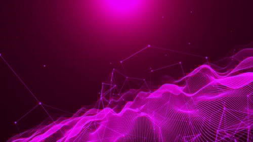 Pink Plexus Technology Network Background Loop