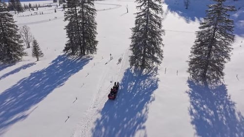 Vue aérienne d'un traîneau à chevaux festif se déplaçant à travers l'Autriche enneigée