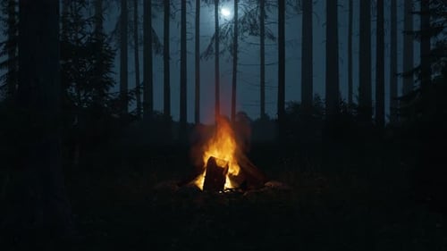 Seamless Loop of a Campfire in the Woods at Night
