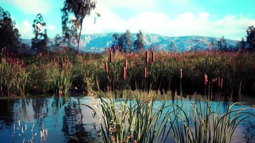 Vibrant Wetlands with Cattails and Serene Water Under a Clear Sky