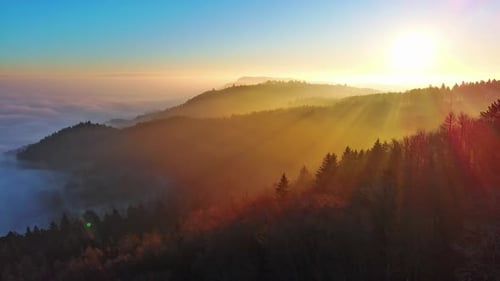 Silhouettes de conifères dans une forêt de la vallée vallonnée sur fond de soleil éclatant