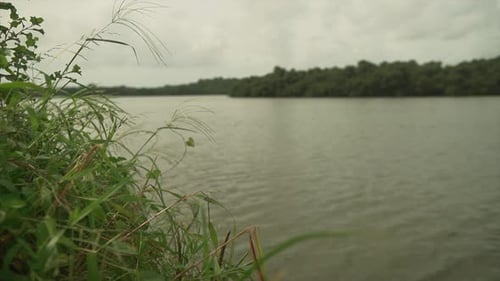 Calm Lake with Forest Under Overcast Sky