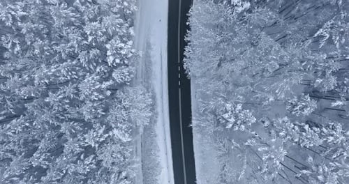 Vue aérienne de la forêt gelée, de la neige et de la route d'hiver.