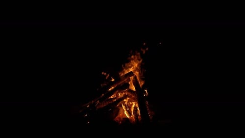 Camp Fire (2K)