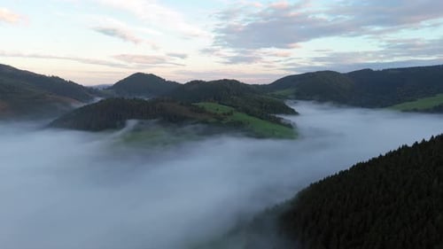 Aerial View of a FogFilled Mountain Valley and Forested Hills Carpathians Mountains