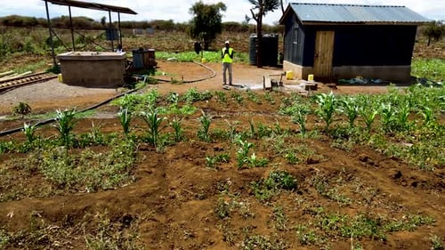 Rural agricultural farms in Kenya. Drone pilot land survey. Smart Agriculture technology.