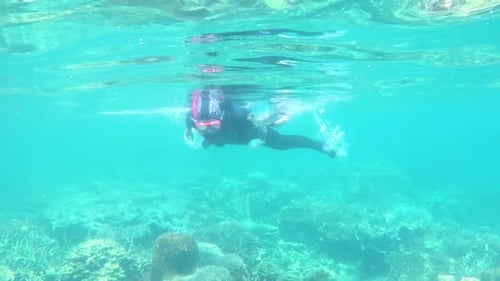 Snorkeler Exploring Vibrant Coral Reef Underwater