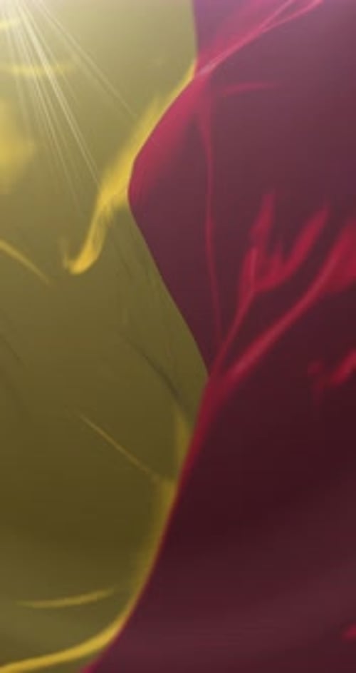 Waving Red and Yellow Abstract Fluid Fabric Loop