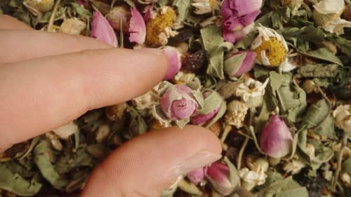 A top-down view of a scattered mix of dry tea with chamomile and a rose. I attempt to pick up one