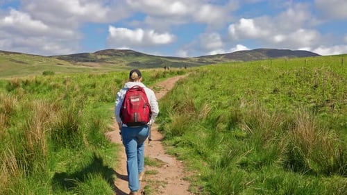 Rearview following a backpacker person hiking on trail on the west highland way, by grassy meadows