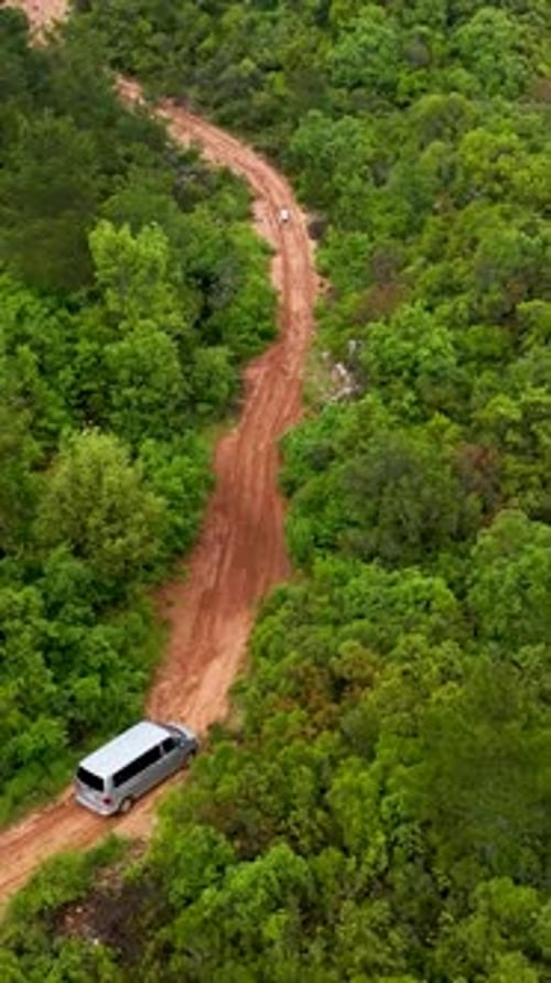 Vertical Video Aerial Glimpse of a Serene Green Forest Cinematic Delight for Nature Photographers