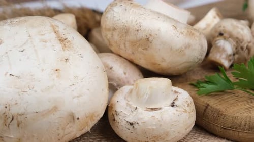 mushrooms rotating