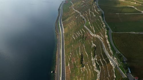 Push in drone shot over Lavaux vineyards and Lake Geneva