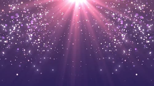 Elegant Pink Purple Sparkling Glitter Particles Background Loop