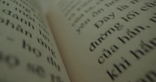Close Up of Book Pages and Text