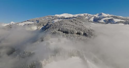 Luftaufnahme des Nebels über dem verschneiten Kiefernwald
