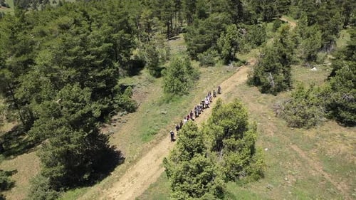 Group Of People Walking Through Forest Path Among Trees With Aerial Shot