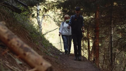Elderly Pensioners with Backpacks and Hiking Sticks Walk Carefully One After Another on a Dirt Trail