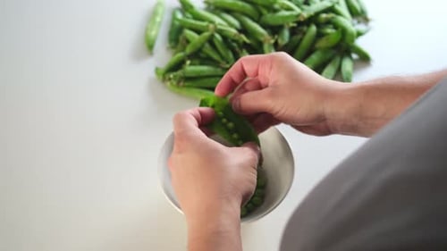 Hands shelling fresh green peas on a white table