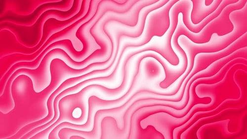 Abstract Pink Fluid Contours Looping Background