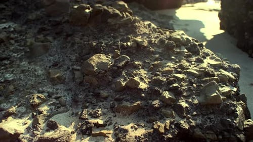 Sunlit Beach Rock Texture