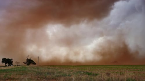 Dramatisch Staubsturmlandschaft mit dicken Sandwolken und starken Winden