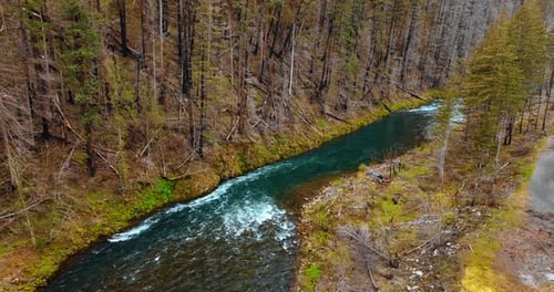 Wunderschöner Gebirgsfluss, der zwischen den Felsen fließt. Trockenes Kiefernholz wächst über dem Fluss.