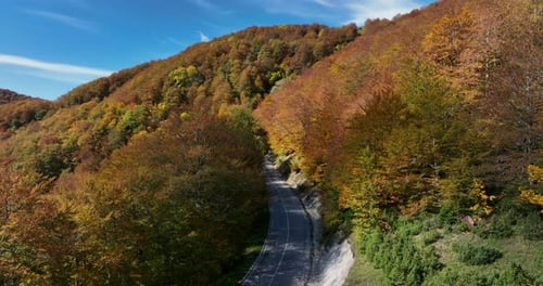 Road trough autumn forest on the mountain aerial shoot, Beautiful sunny day over multicolored trees