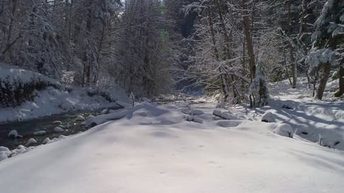 Aerial View Mountain River Flowing Through a Picturesque Snowcovered Forest