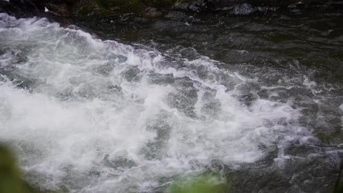 Rushing River Rapids Close-up Shot