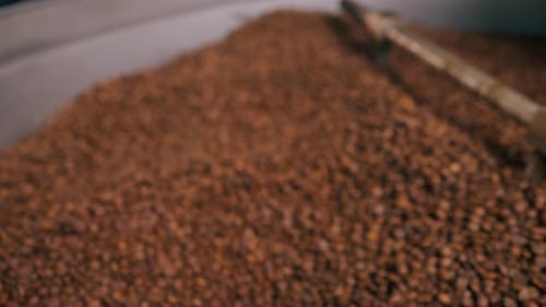 Closeup of a Coffee Roasting Factory Inside Drum Roasting Stirring Coffee