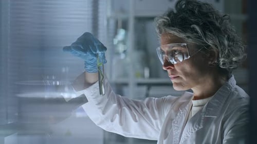 Female Scientist Examining Plant in Test Tube during Research in Laboratory