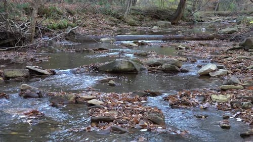 A small stream flowing through the forest on a cool autumn day in the mountains.