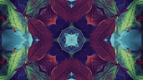 Abstract Organic Kaleidoscope Pattern with Colorful Leaves and Berries