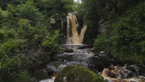 Cascading Waterfall in Lush Green Forest