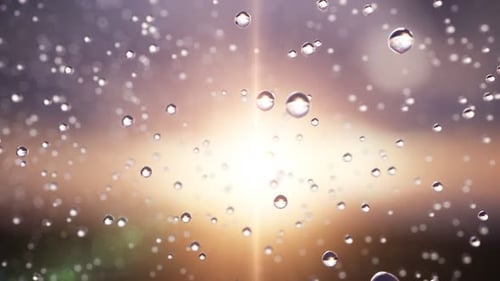 Abstract Water Droplets Floating Against a Bright Background